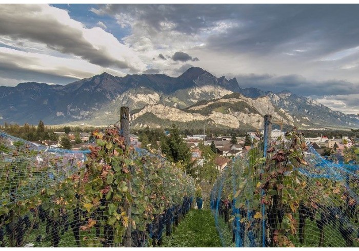  8 фактов о сельском хозяйстве Лихтенштейна
