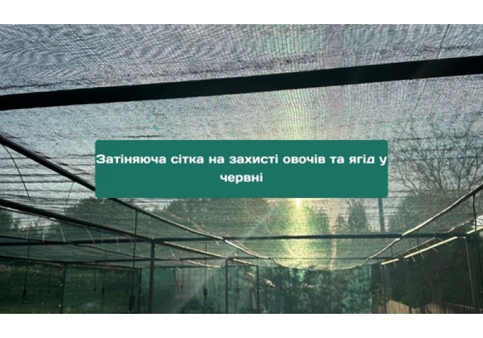 Затеняющая сетка на защите овощей и ягод в июне