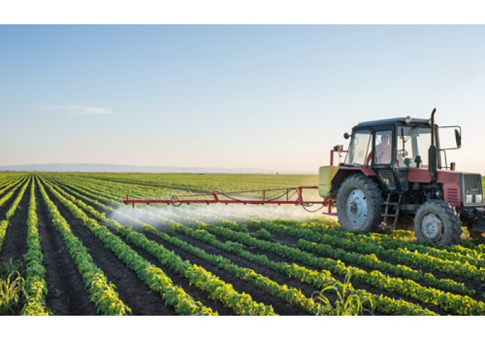 Июльские сельскохозяйственные работы: как эффективно ухаживать за овощами