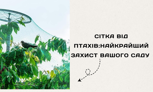 Сітка від птахів: найкращий захист вашого саду