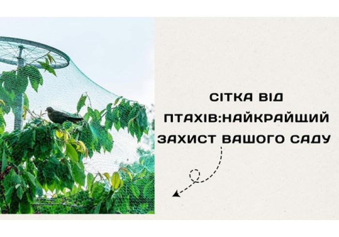 Сітка від птахів: найкращий захист вашого саду