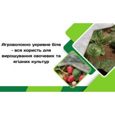 Агроволокно укривное белое – вся польза для выращивания овощных и ягодных культур