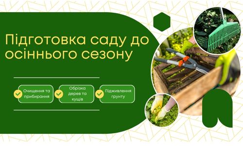 Підготовка саду до осіннього сезону