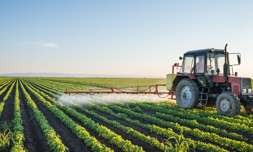 Липневі сільськогосподарські роботи: як ефективно доглядати за овочами
