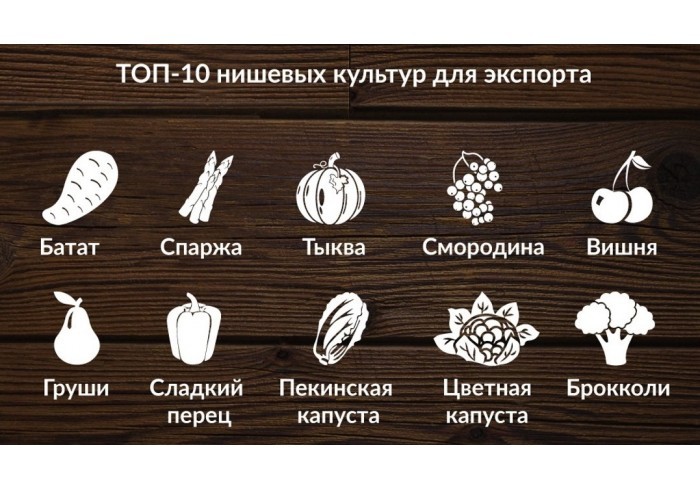 ТОП — 10 нишевых культур для экспорта