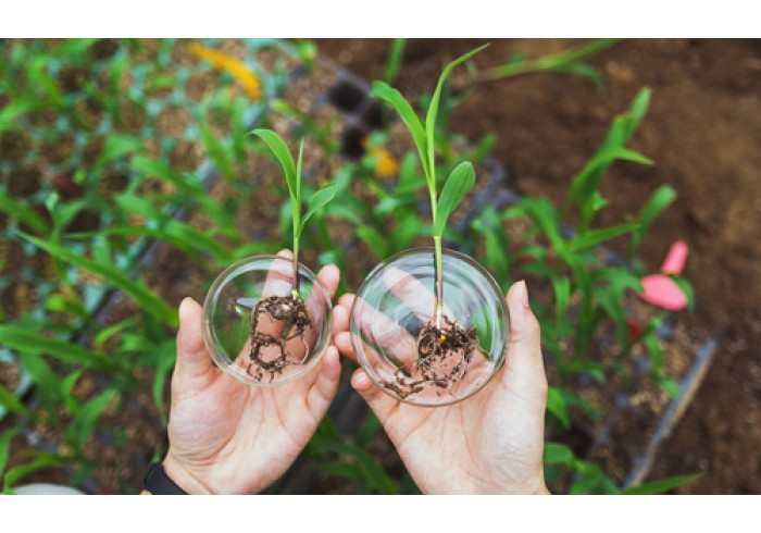 How to protect plant crops in the open ground?