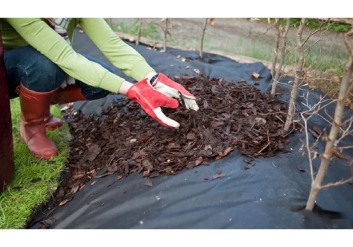 Effectiveness of mulching in the fight against weeds
