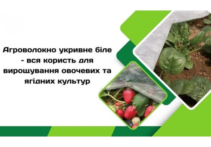 Агроволокно укривное белое – вся польза для выращивания овощных и ягодных культур