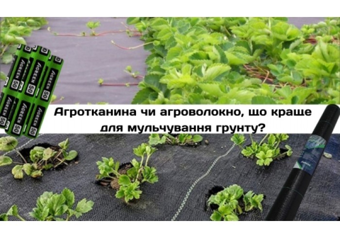 Агроткань или агроволокно, что лучше для мульчирования почвы?