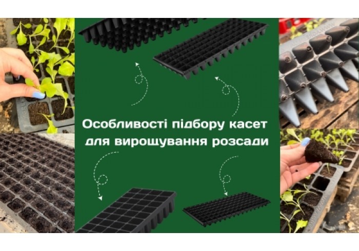 Особенности подбора кассет для выращивания рассады