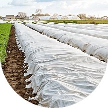 Covering agrofibre