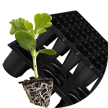 Cassettes for seedlings