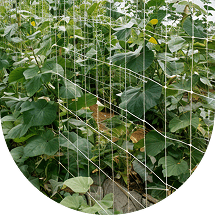 Fence nets
