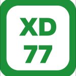 Кассеты для рассады XD77