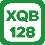 Голландский стандарт XQB128