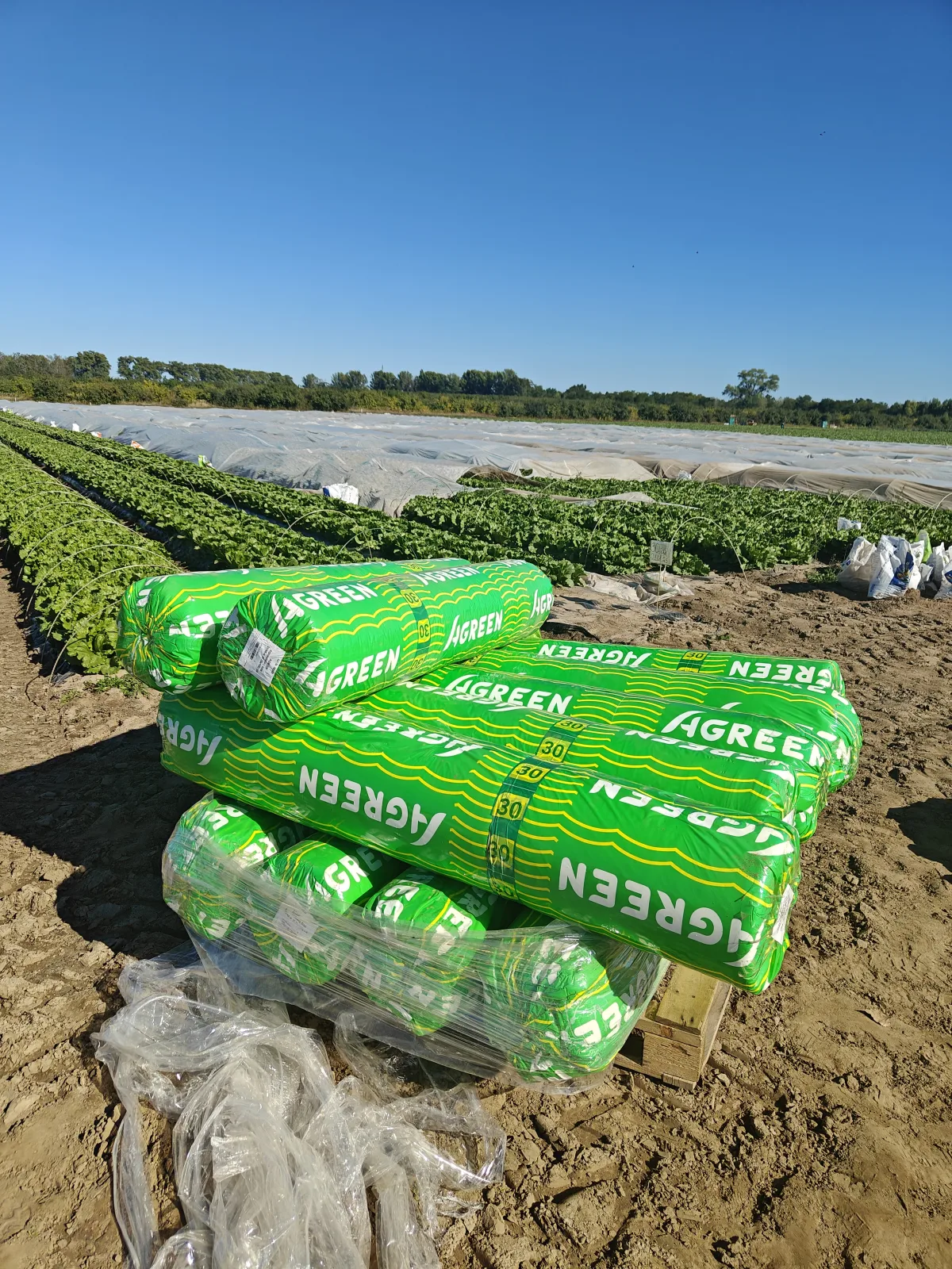 Рулони агроволокна Agreen на полі Fresh Garden перед монтажем
